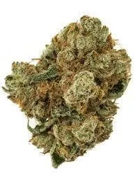 Paris og [[5g@$45]]