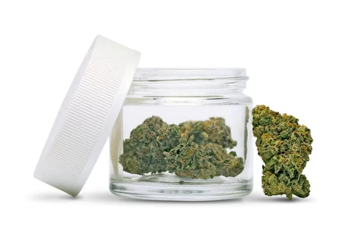 Red Bulz [S] | 3.5G Flower | Naughty Squirrel Farms