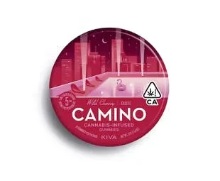 Gummy - 100mg - Wild Berry - H