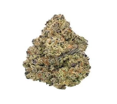 BANANA O.G. *SUNGROWN* (H)