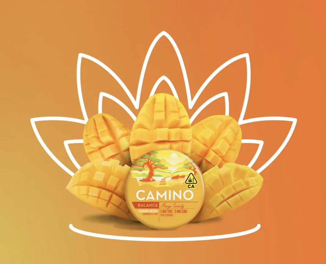 MANGO SERENITY 1:1 CBD - 100MG - CAMINO