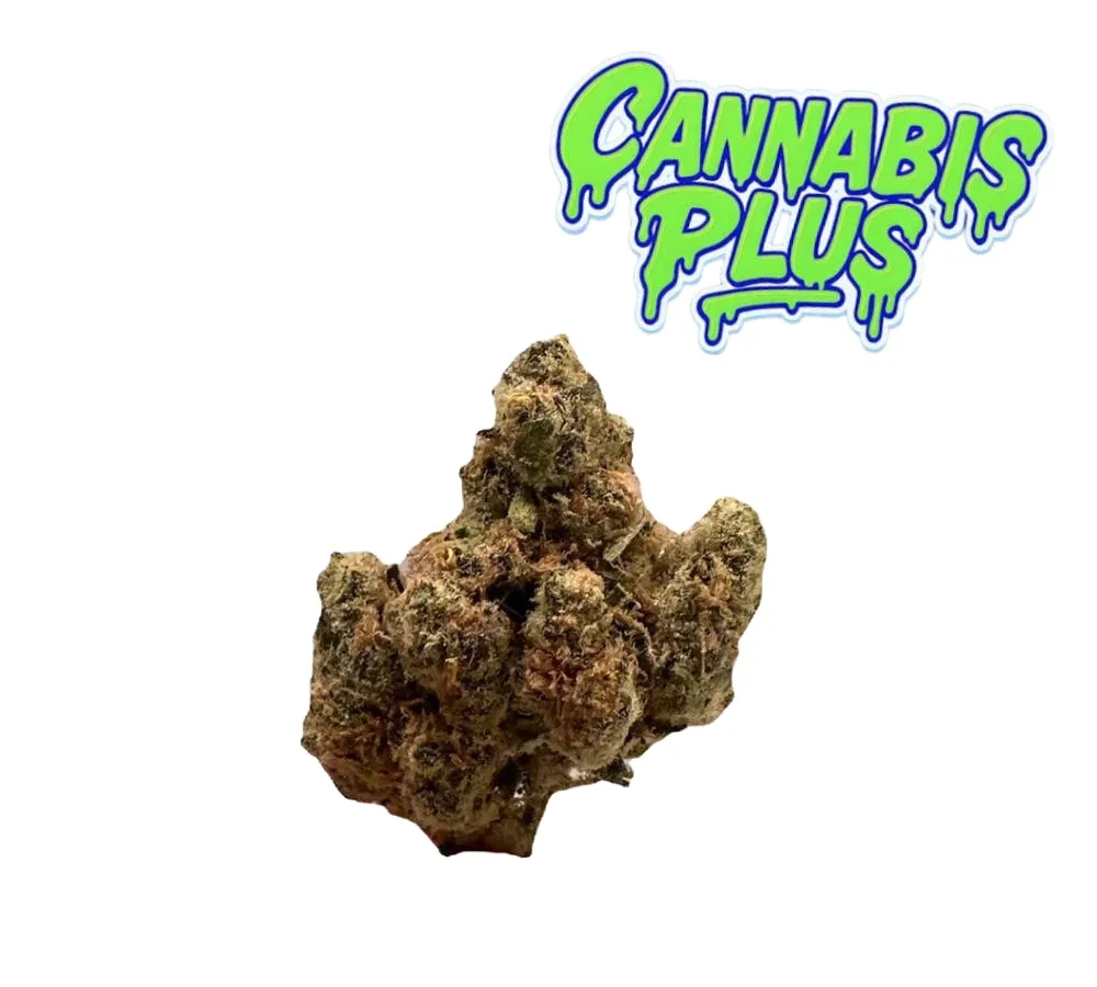 Tier 3 | Exotic OG | Indica