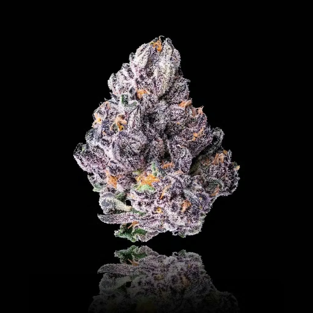 RED BULLZ x EYE CANDY | Hybrid | 37.5% THC | MAVEN GENETICS x TASTE BUDZ