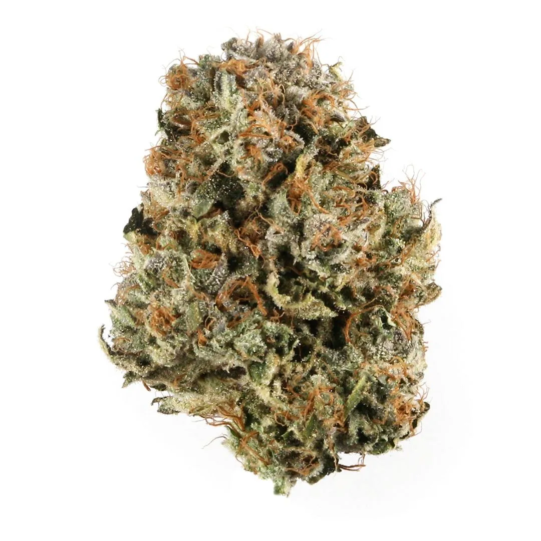 3.5G • Pink Panties | HYBRID | SMALLS