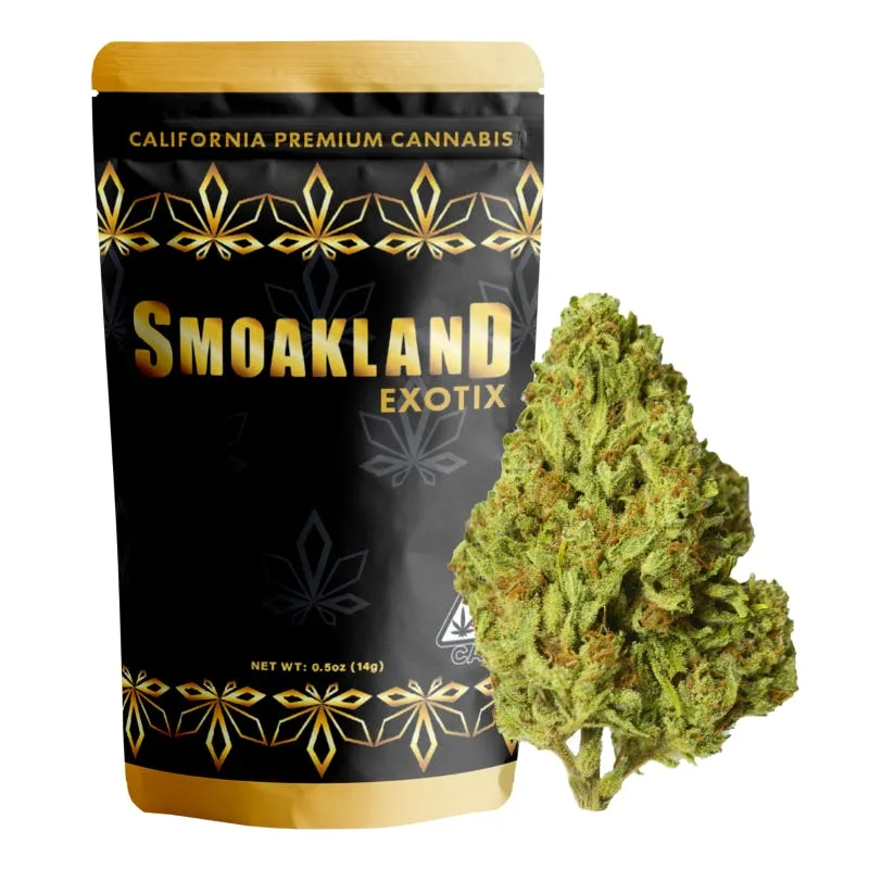 Exotix - Sour Tangie Dawg (S) - 14g