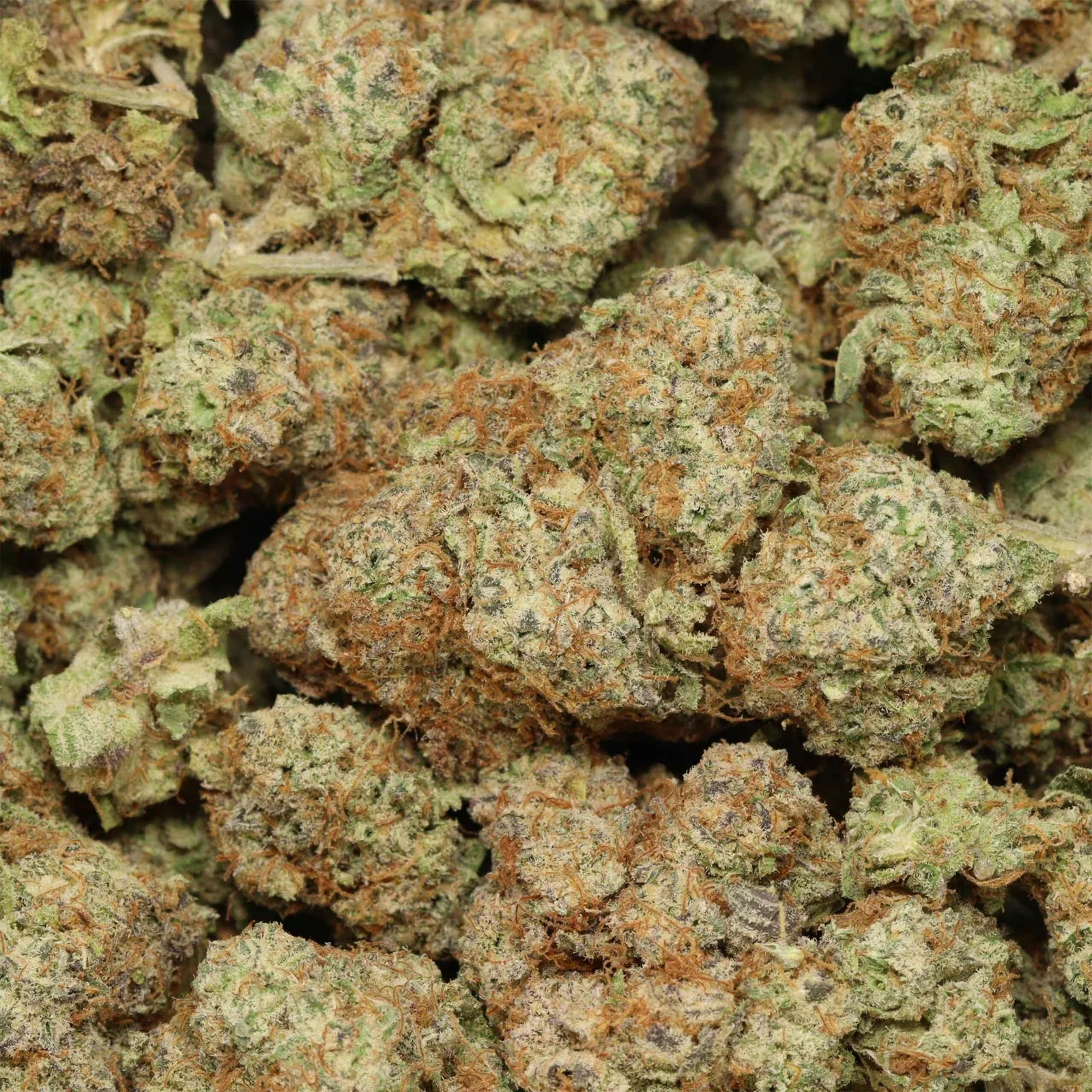 JELLY KRASHER 31.7% ( Super HIGH) THC OUNCE