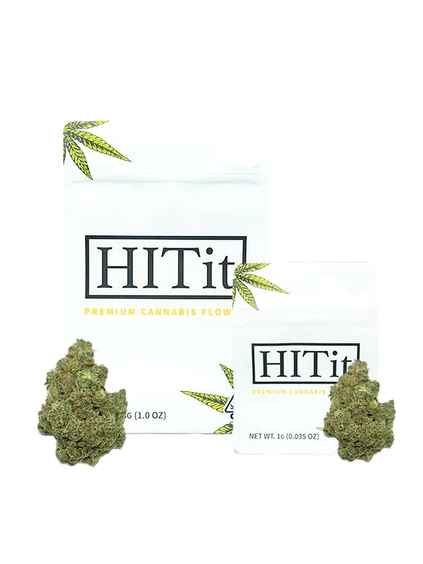 GORILLA GLUE