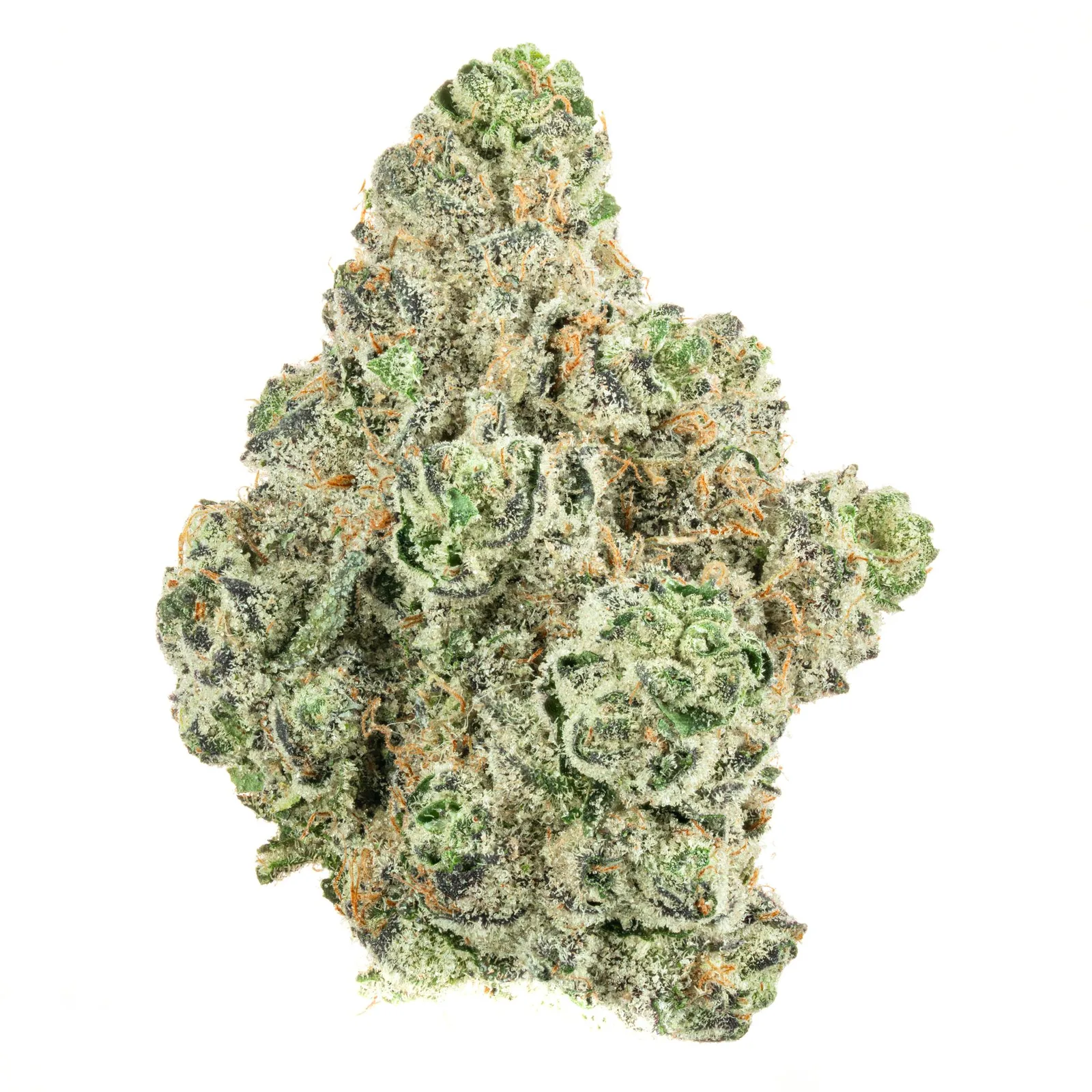 naomi ZAmpbell Frankenstein Flower 7g