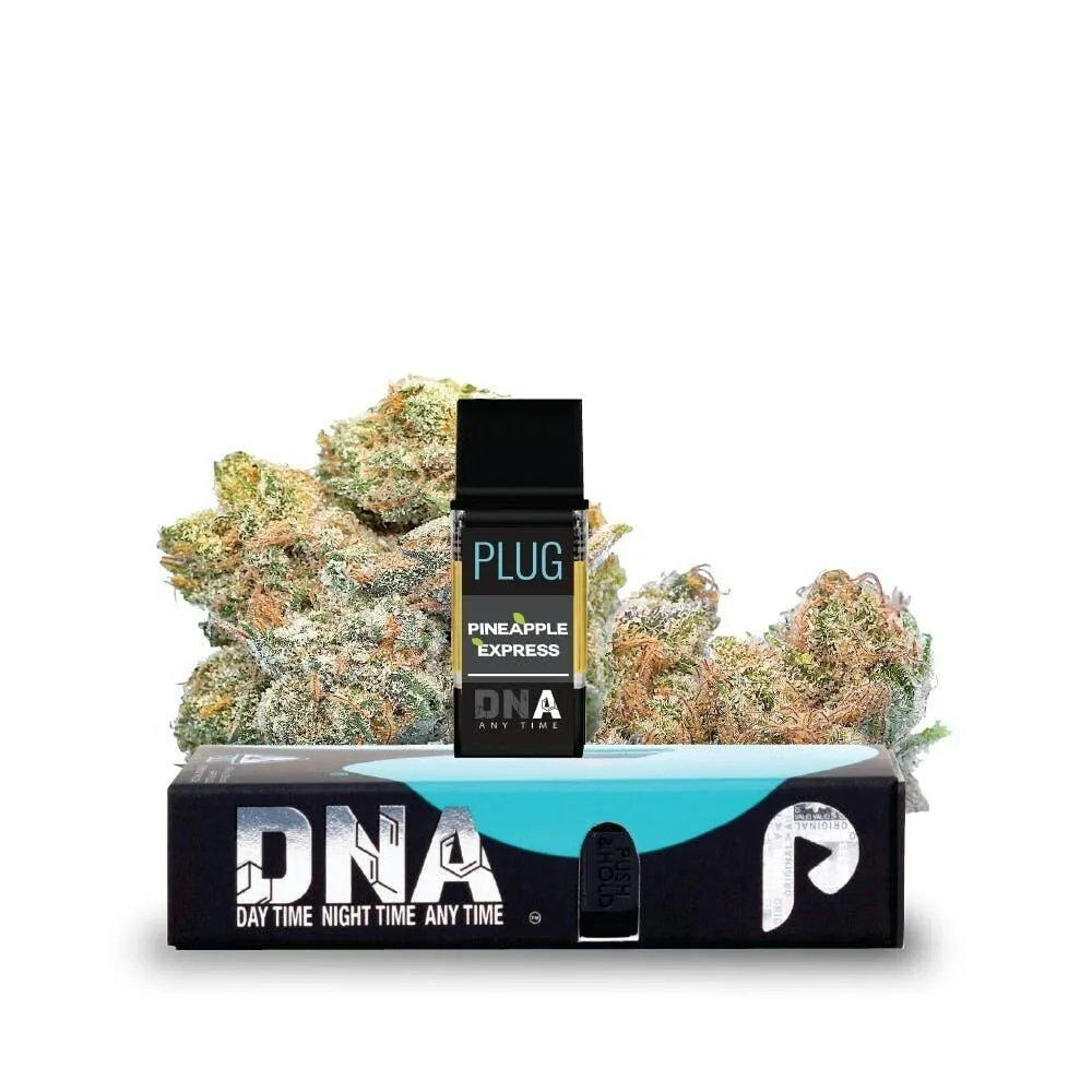 PLUG PLAY - PINEAPPLE EXPRESS 1G