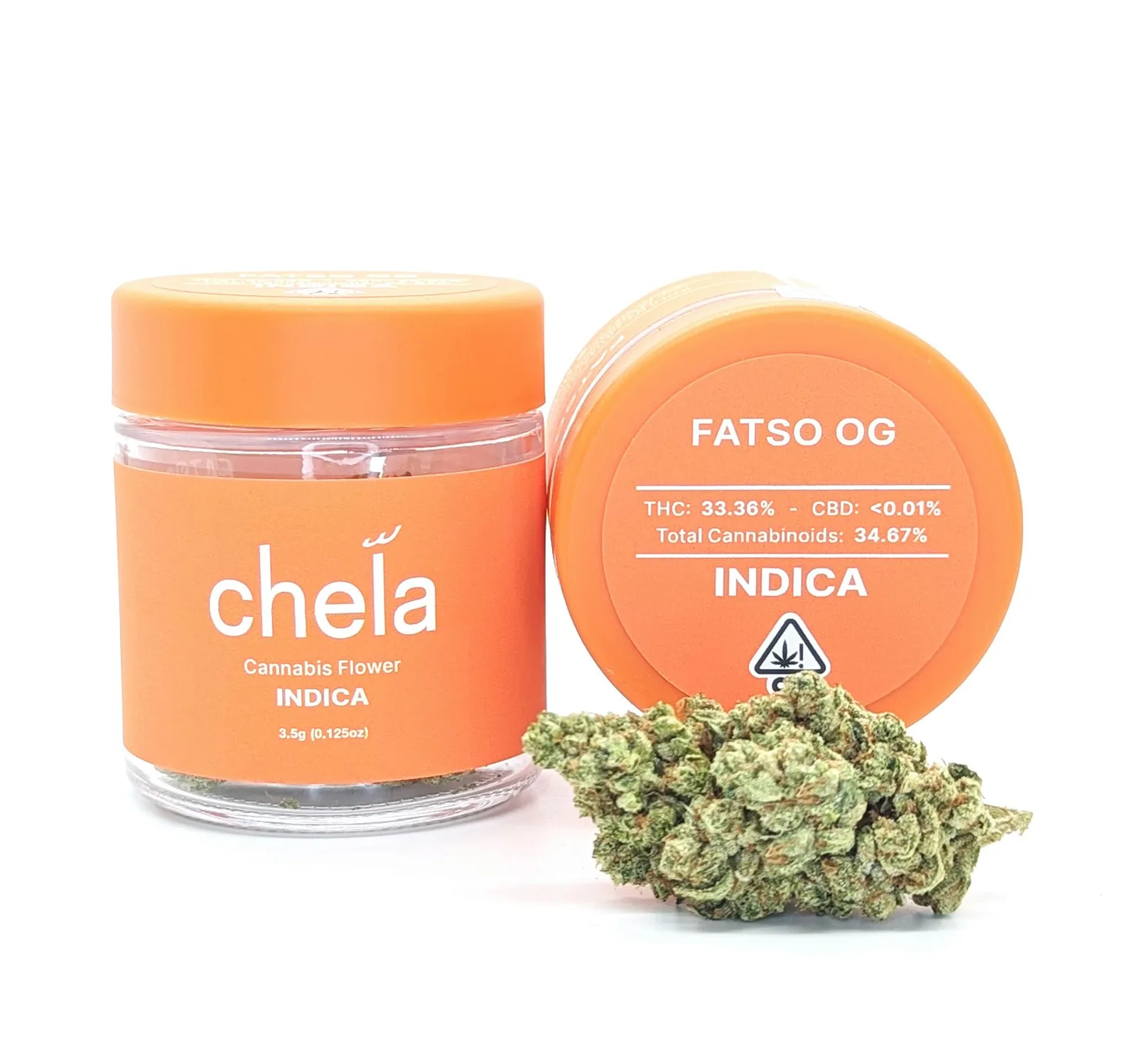 Chela - Light - Fatso