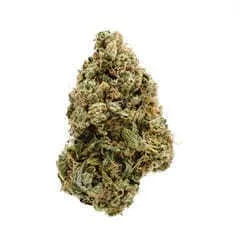 Higher Weed Delivery - Blue Dream - Quarter
