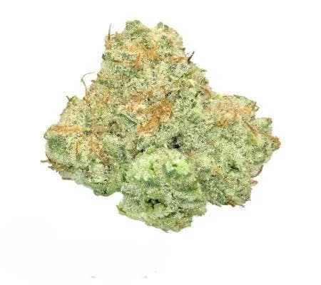 BIRTHDAY CAKE *ULTRA EXOTIC SMALLS* (H)