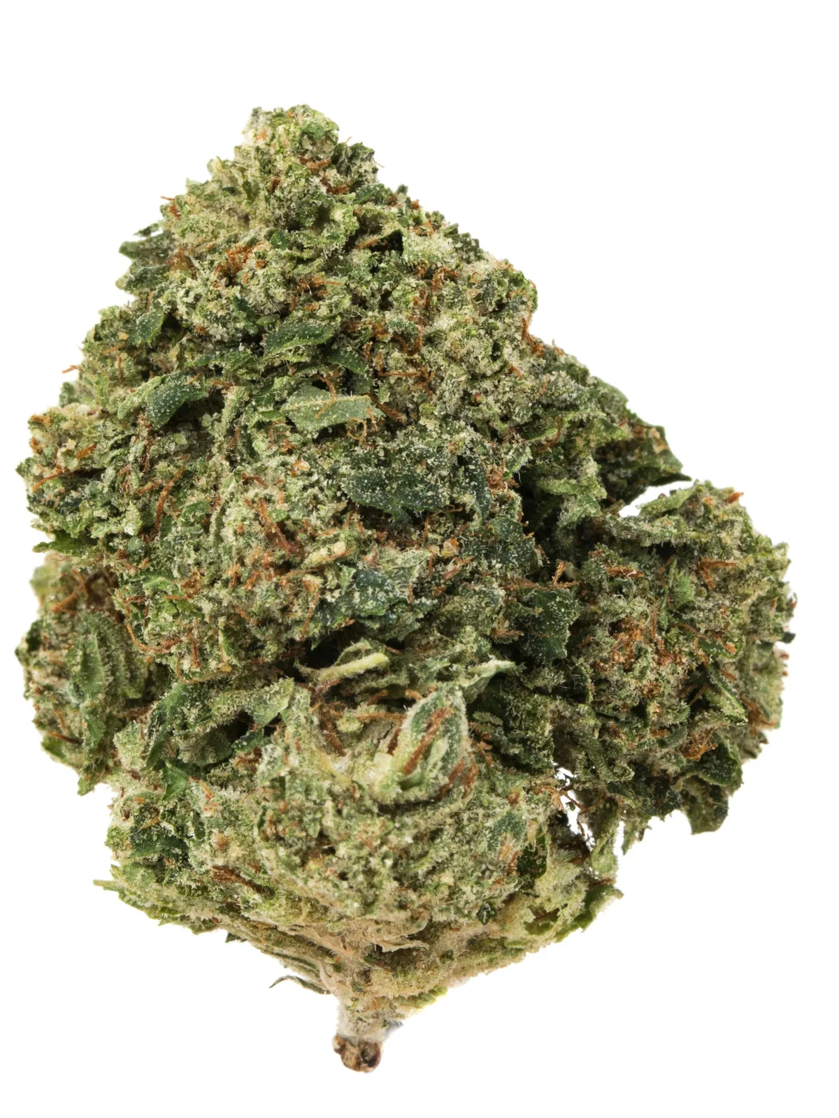 STICKY 3.5G