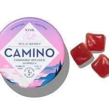 Kiva - Camino - Wild Berry 100mg - GUMMY