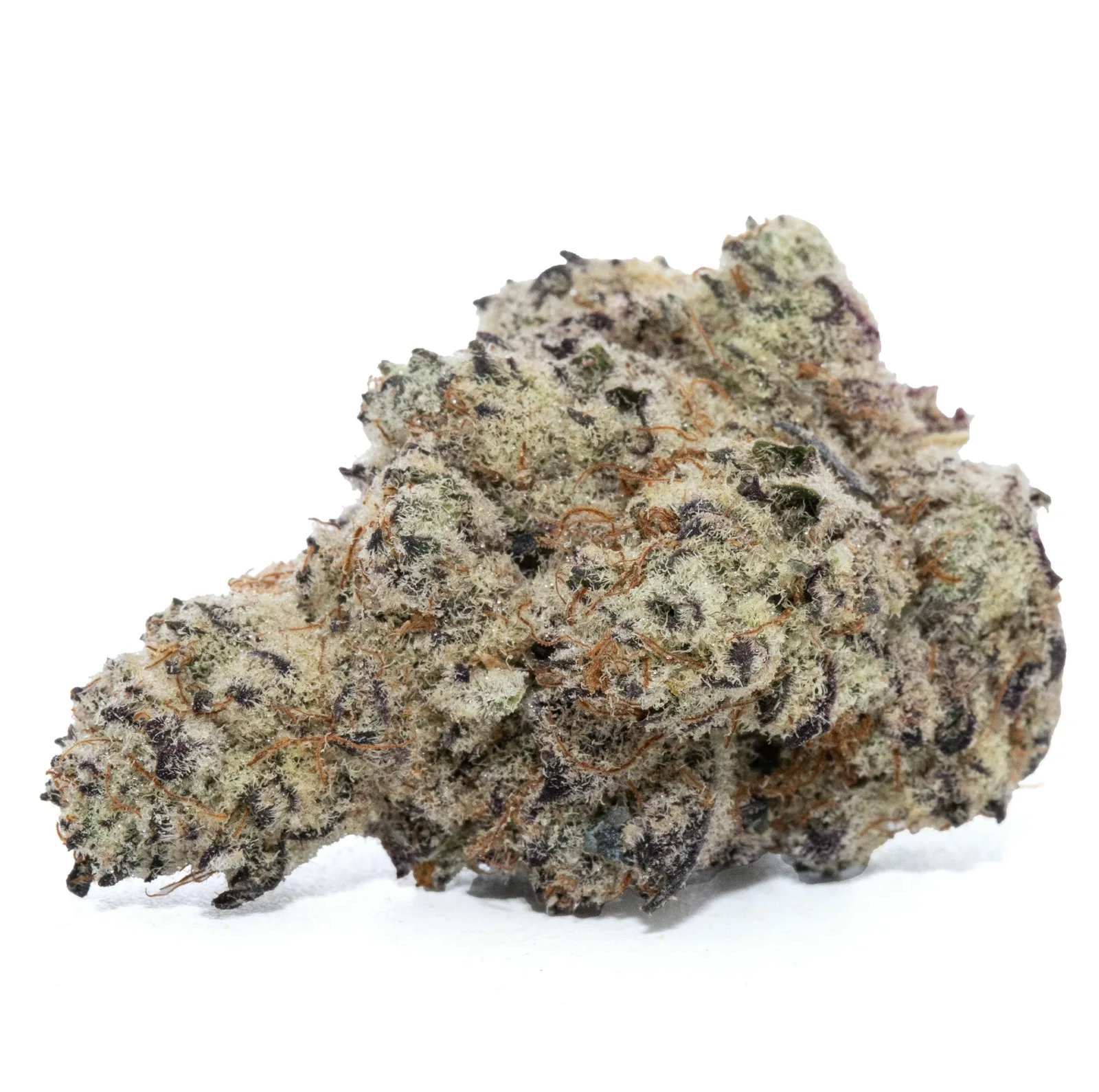 CLOUT BERRIEZ [3.5G]