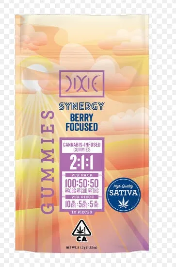SYNERGY BERRY FOCUSED 10PK GUMMIES DIXIE
