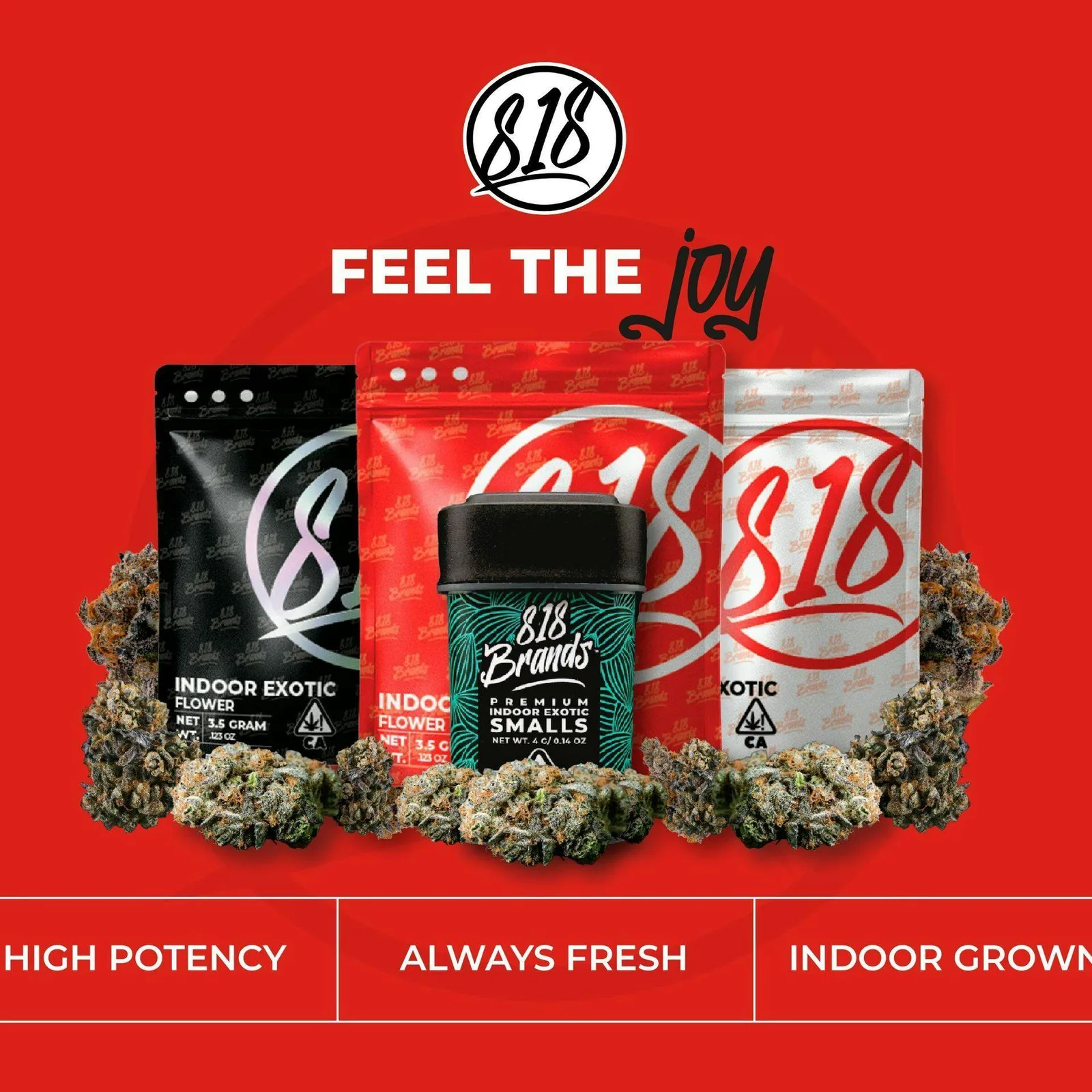 818 | Flower | LA Pop Rocks | H