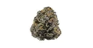 3.5G • Grandaddy Purple Exotics | INDICA | SMALLS