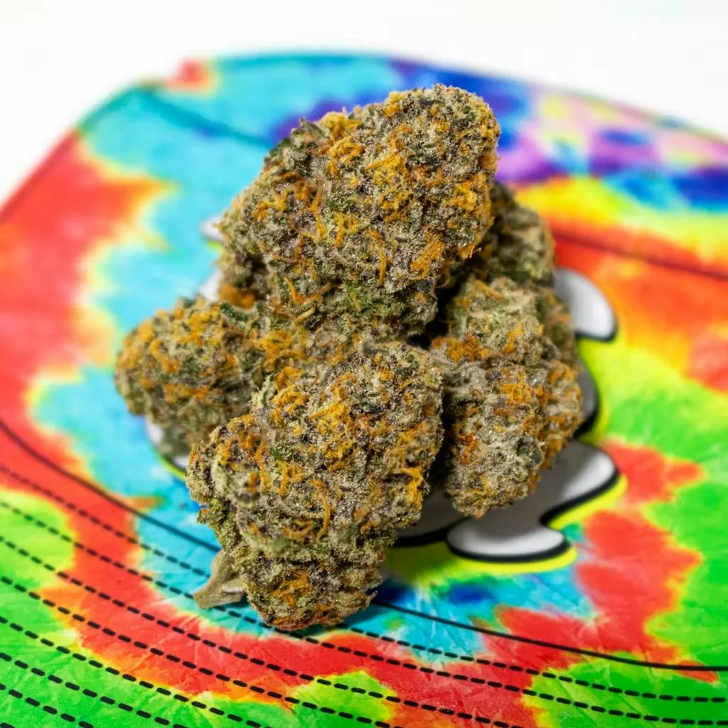 Reading Rainbow | TEDS BUDZ