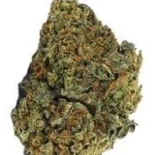 HerCanna; Lemon Banana Sherbet (H/I) 28g+ - Premium (High THC)