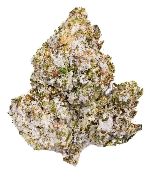 TRON OG