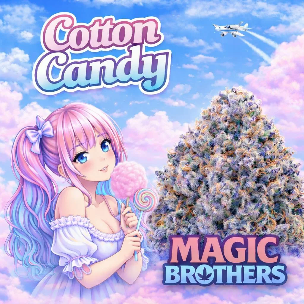 Cotton Candy - Top Shelf Flower - 1/2oz. 14g.