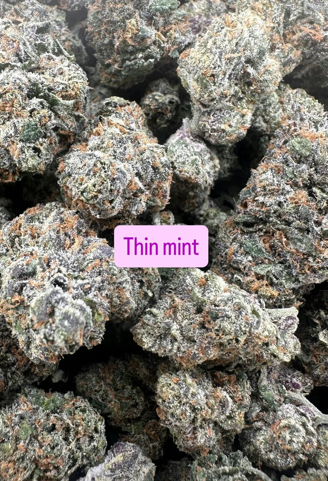 Thin Mint