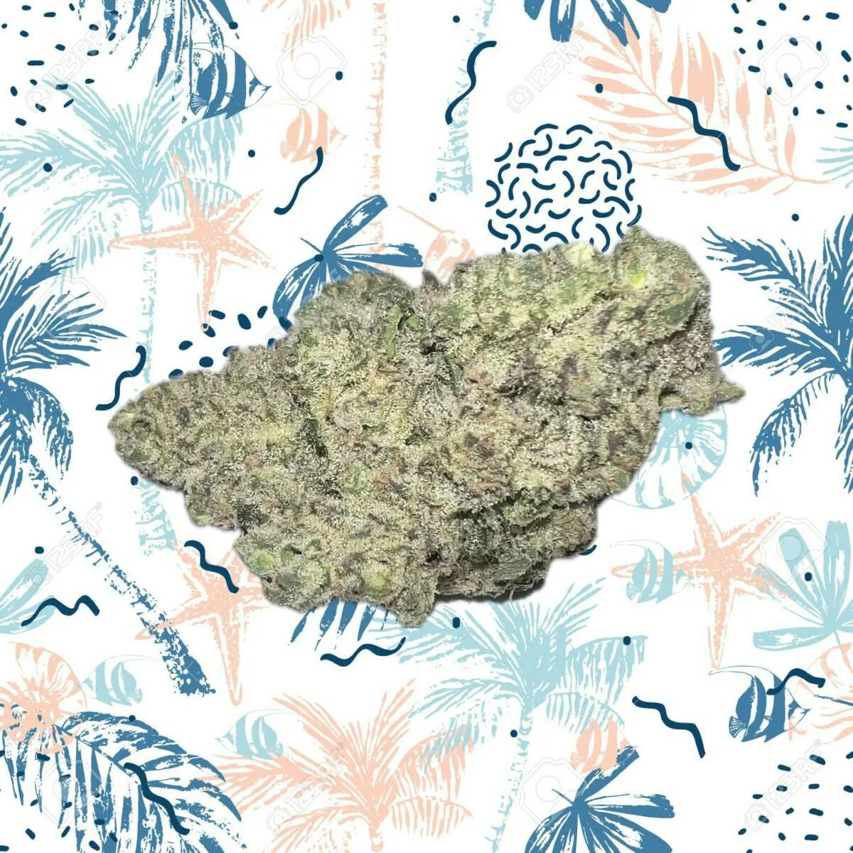 Beach Wedding - 14 Grams Indica Flower