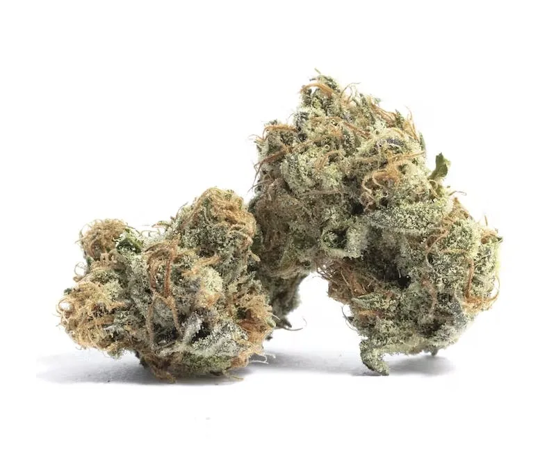 Jelly Donut - Hybrid - 31% THC