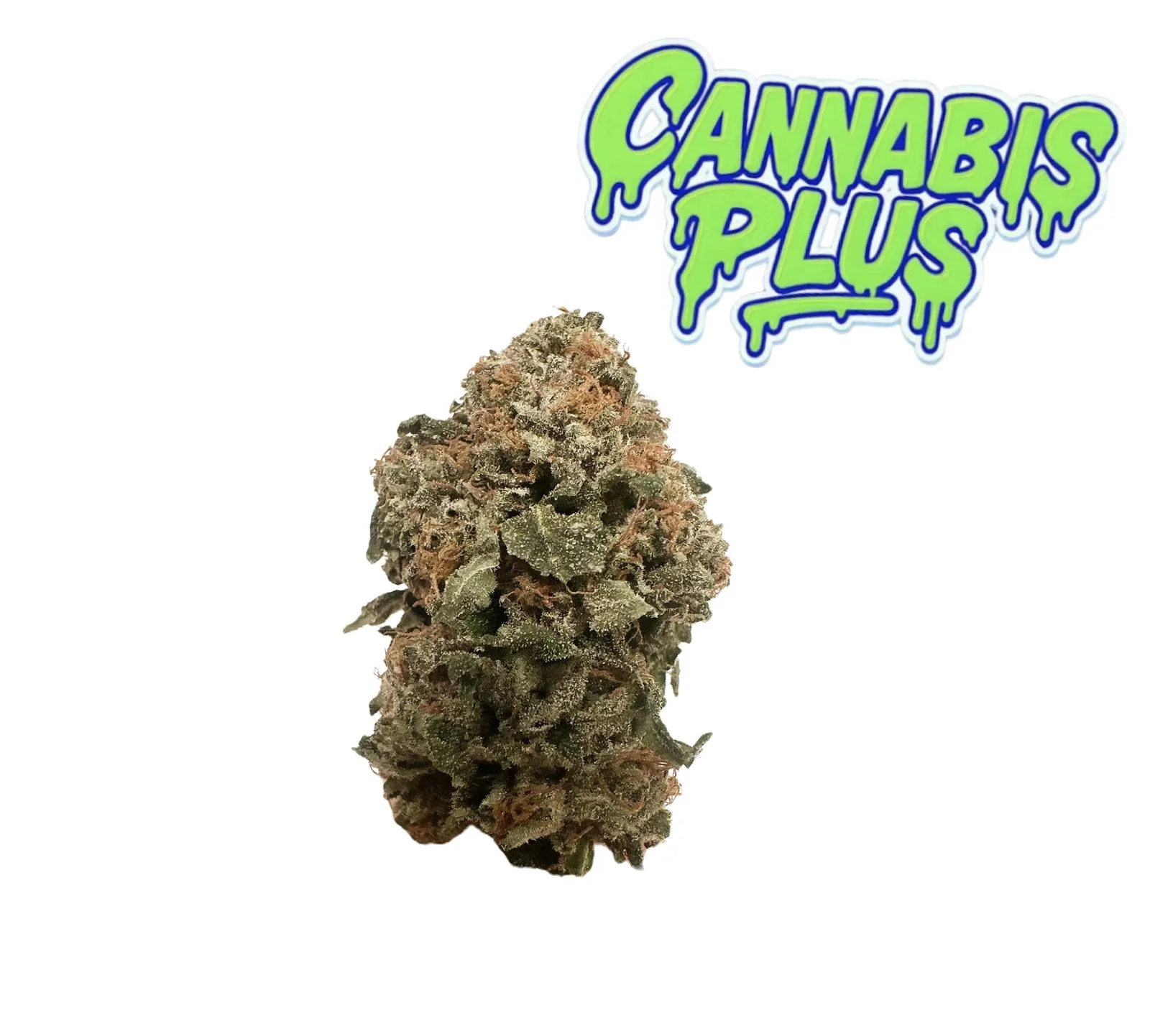 Tier 3 | Platinum Valley | Hybrid