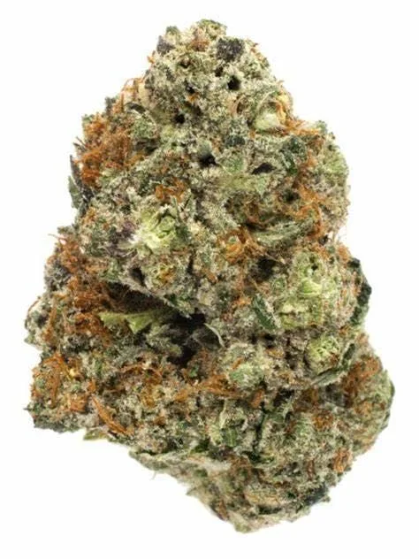 PINEAPPLE EXPRESS: Top Shelf, NEW DROP, Indoor, Sativa