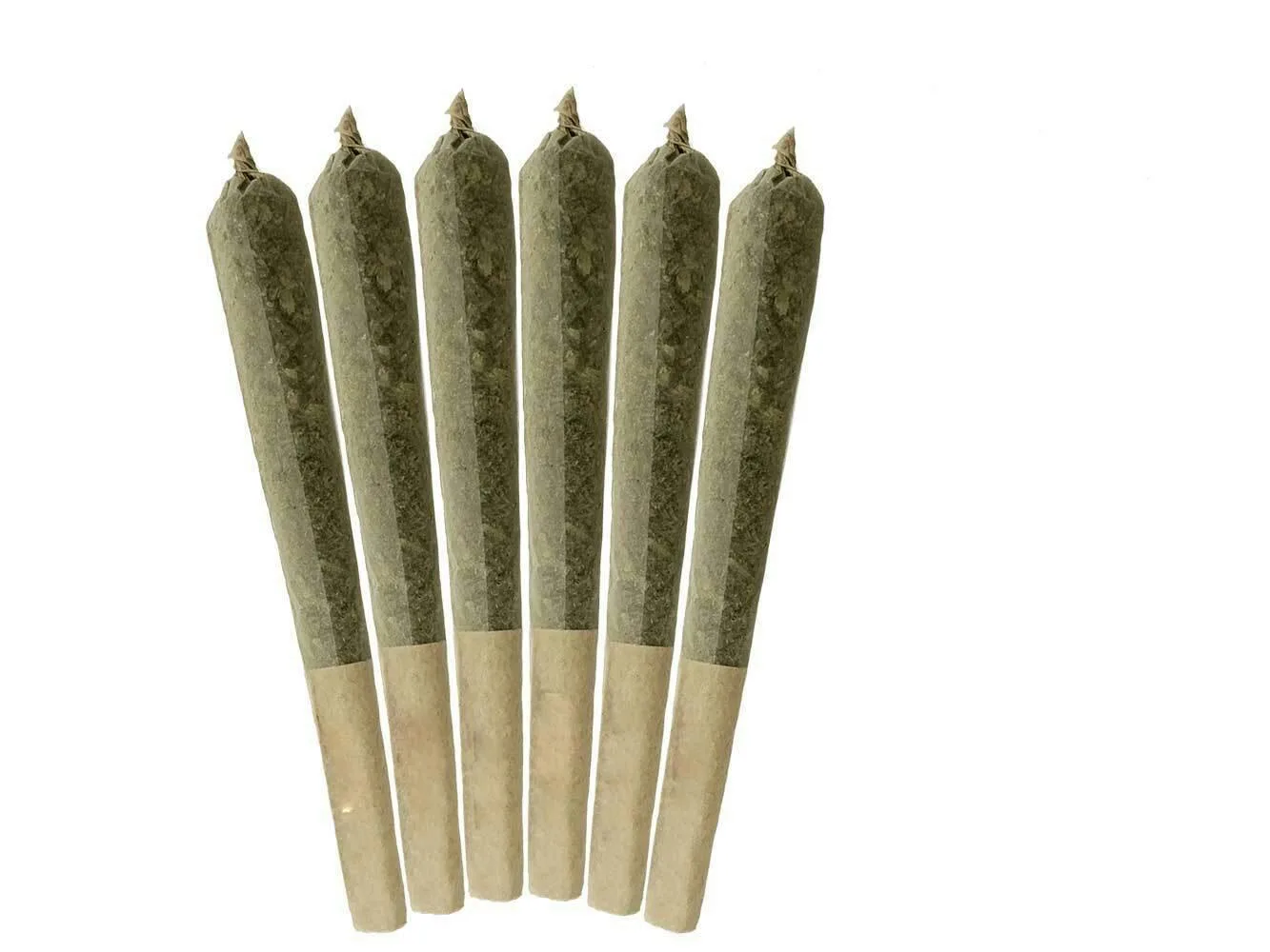 XXL Spray Can 6PK Mini Pre Rolls 3.6G Medusa OG