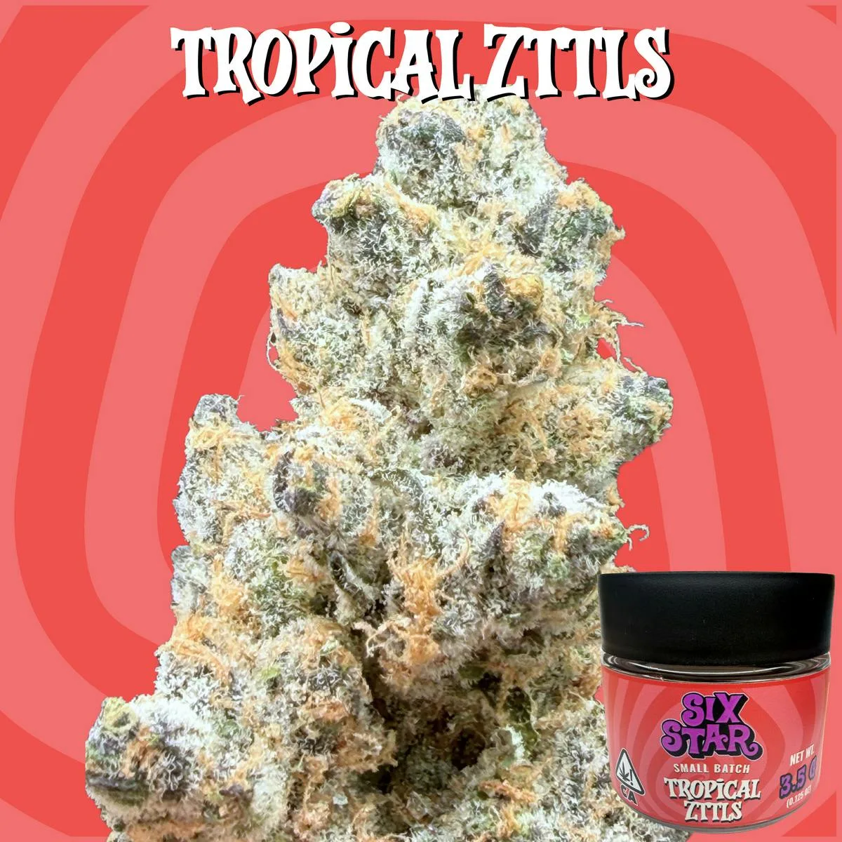 Tropical Zittls Indoor | 1g