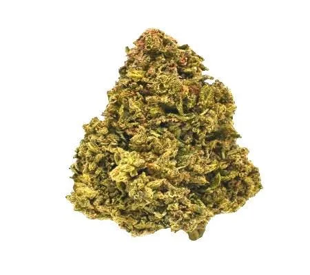 SPACE CAKE (14G) *SUNGROWN* (H)