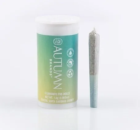 CLASSIC - PREROLLS - DAYTRIPPIN - 3.5G(5PK) - S