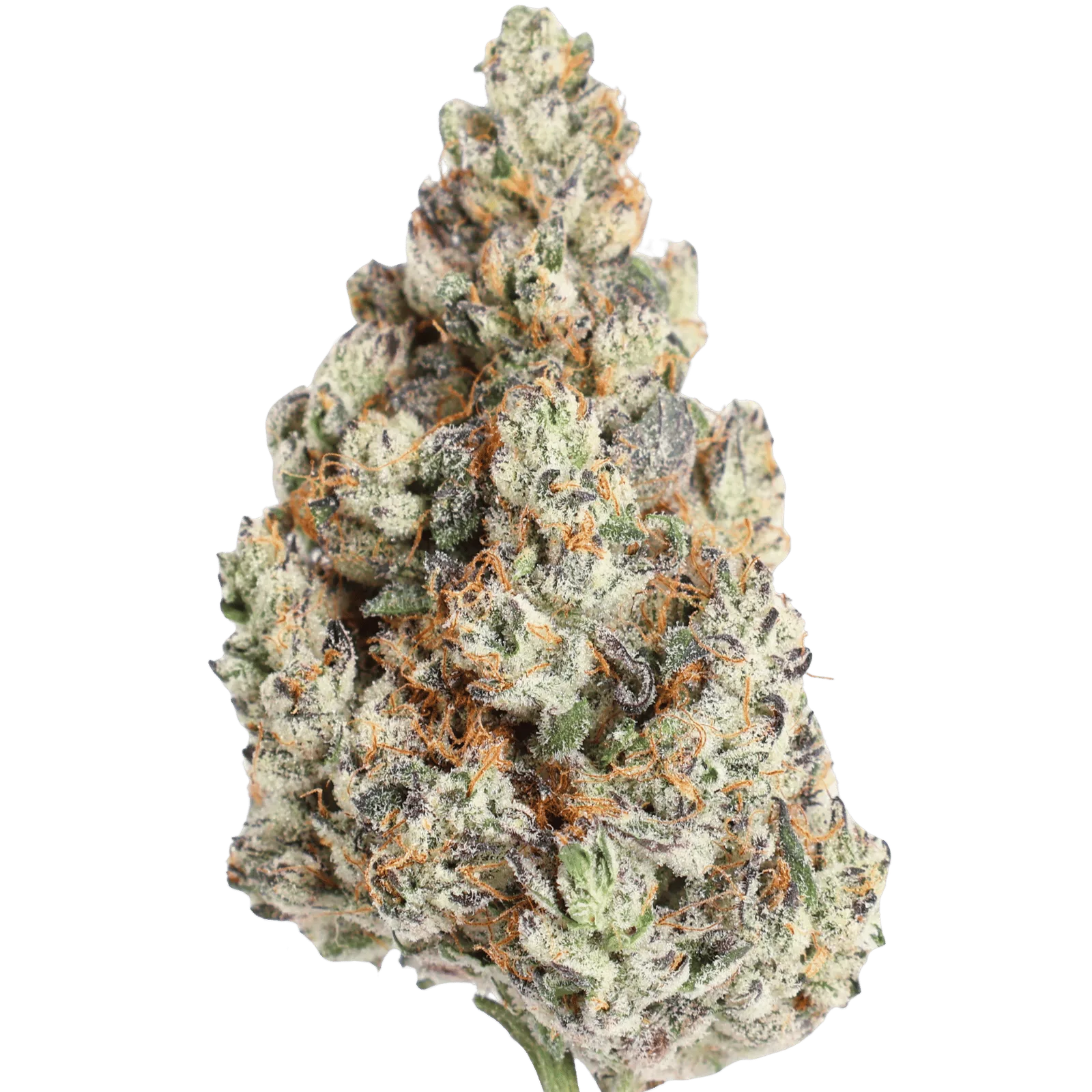 MVN - FUKK OG - 5 GRAMS