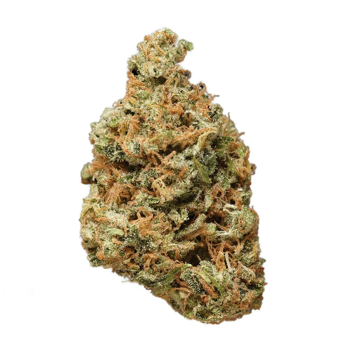 Hawaiian Gold