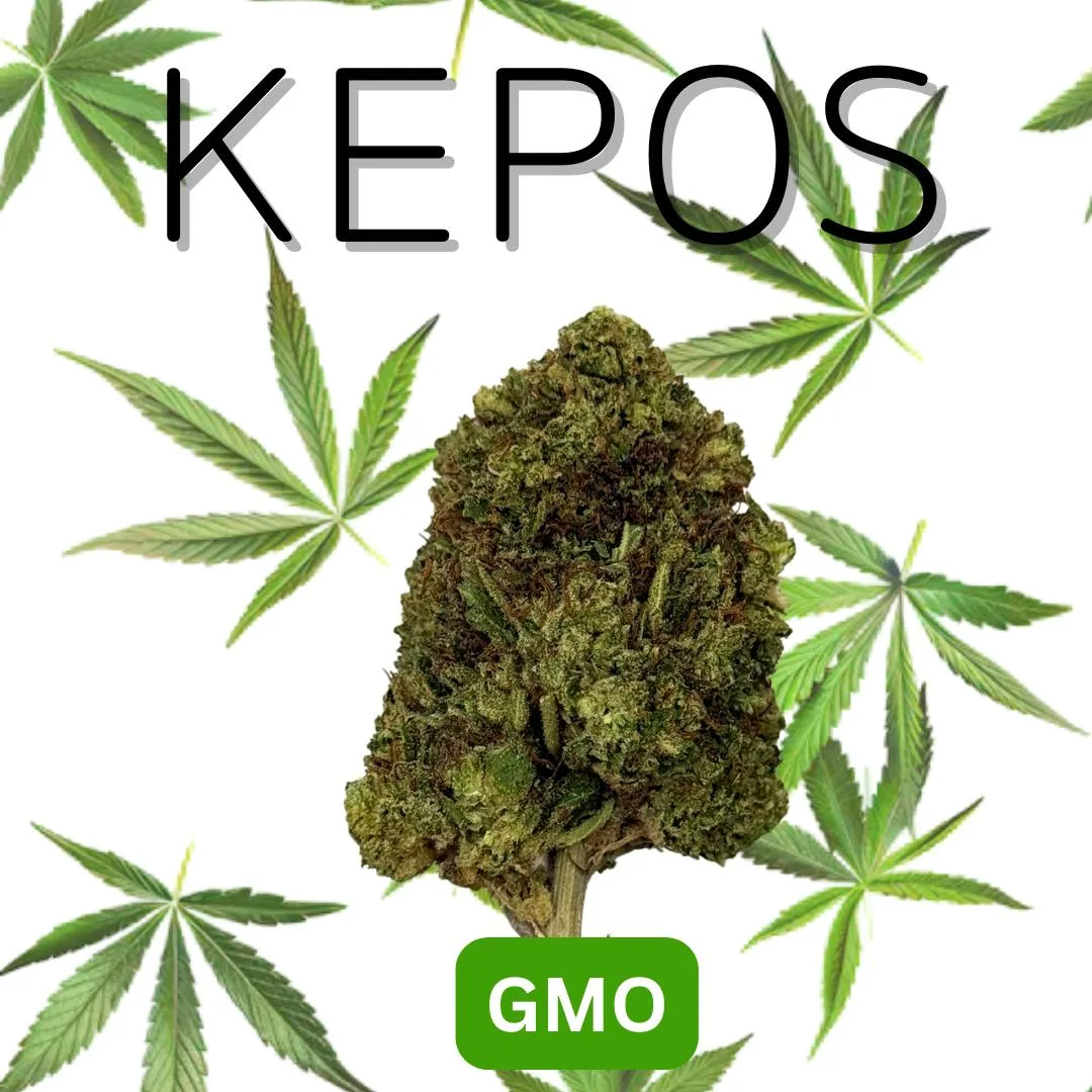 Kepos - GMO 14G - PREMIUM FLOWERS