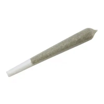 Higher Weed Delivery - Regular Preroll 1g