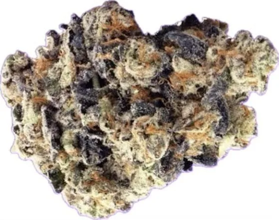 🔥Cherry Pie🔥 House of Nerdz