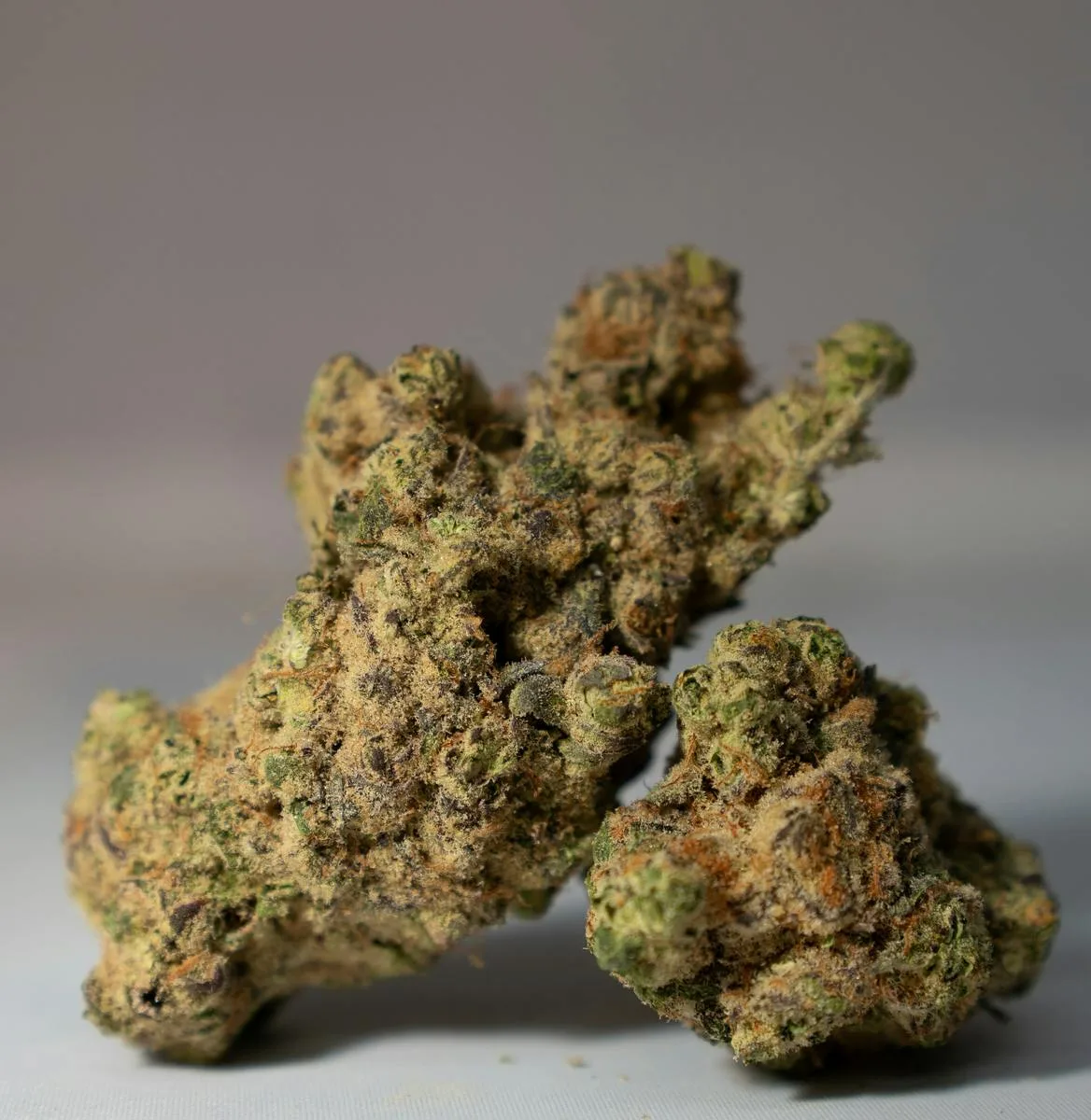 CHIMERA JUNKY (I) 3.5G