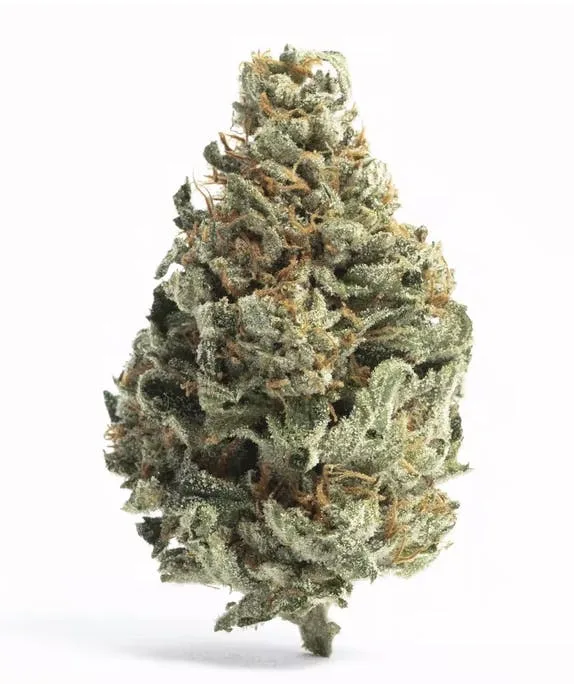 Tropical Runtz - Hybrid -29.6% THC