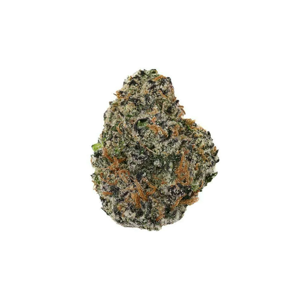 PURPLE CHAMPAGNE - EX PREMIUM SHELF FLOWER