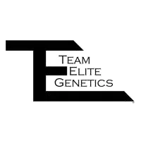 Team Elite Genetics | Cheese Truck | Live Rosin Badder | 1g