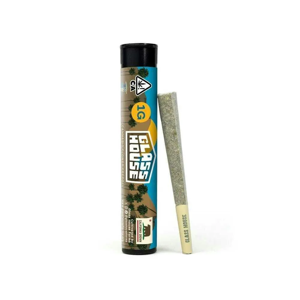 Glass House - Pineapple Donut 1g Preroll - Preroll