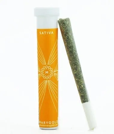 Marygold | Sativa | Joint | 1.1g