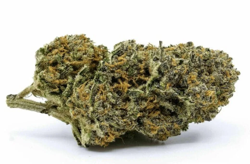 Space Dawg - Indica - 30.95% THC