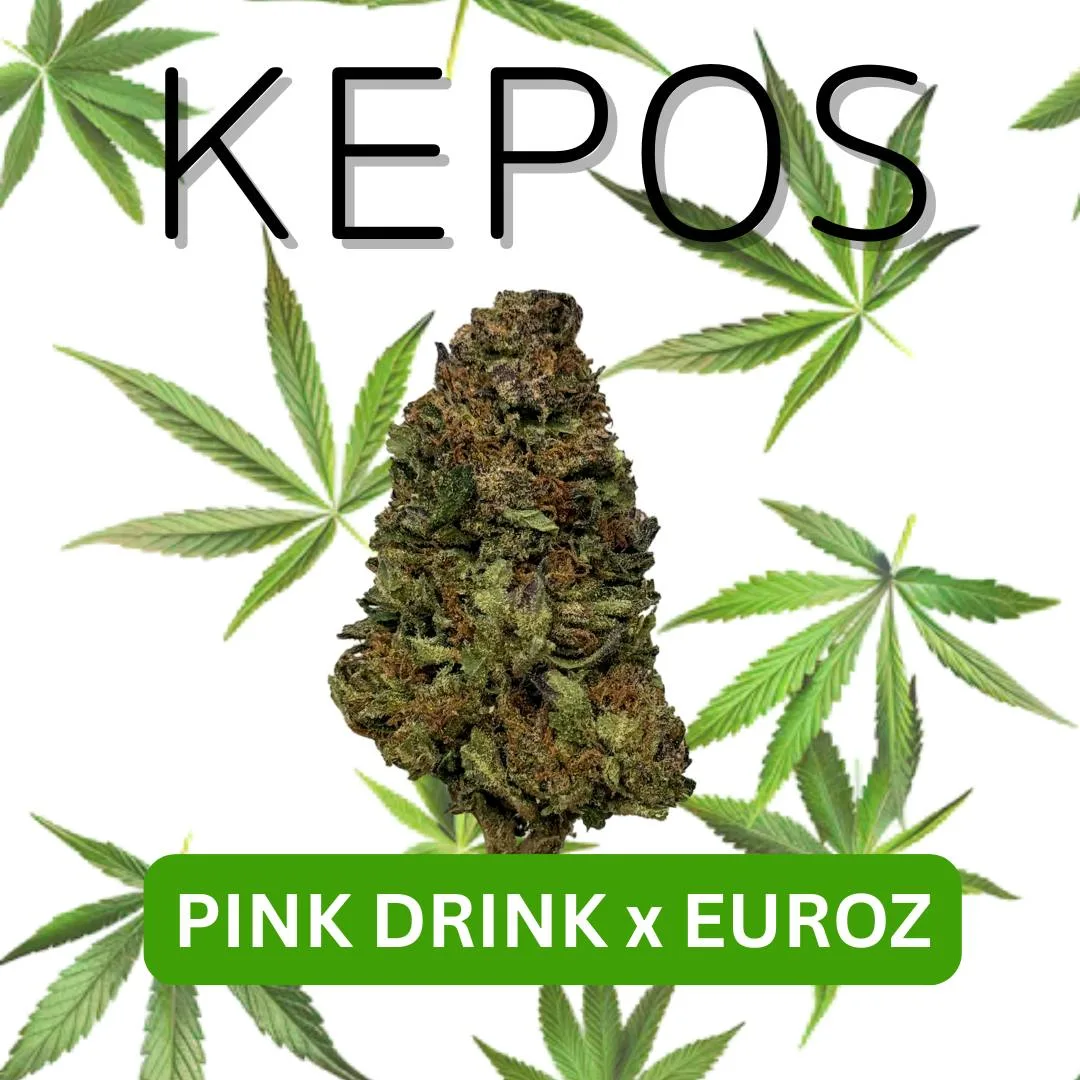 Kepos - Pink Drink X Euros 3.5g - PREMIUM FLOWER