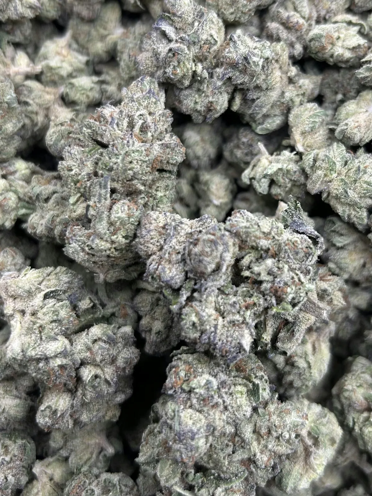 CANDY OG