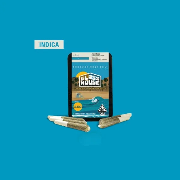 Glasshouse Preroll 5pk Moltisanti 3.5g